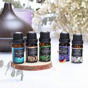 Conjunto de Óleos Essenciais Frutados para Difusor
