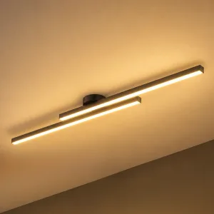 Lustre de teto LED regulável de montagem rente em tira de ferro minimalista com comando remoto